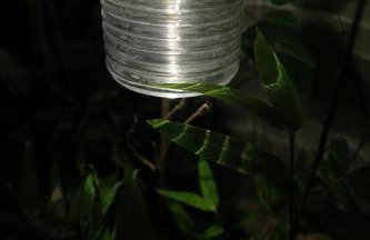 Beau 4 pièces dans coin de verdure - Foto 23