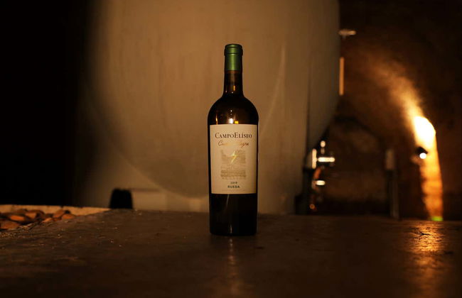 Visite du domaine Campo Elíseo - Photo 3