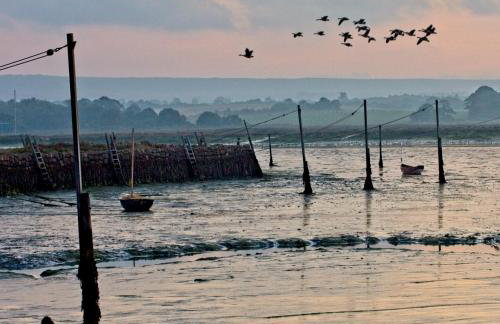 Isle of Wight Cabin - Foto 13