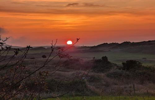 West mouse view - Foto 13