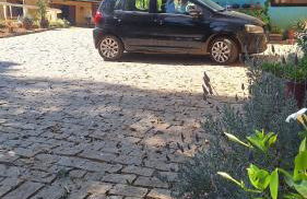 Refúgio em Macacos para até 12 hóspedes com piscina aquecida, 5 suítes e riacho - Foto 47