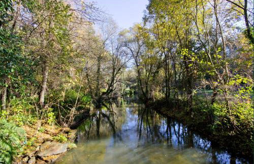 Quinta de Mourães Casa dos Rododendros - Foto 80