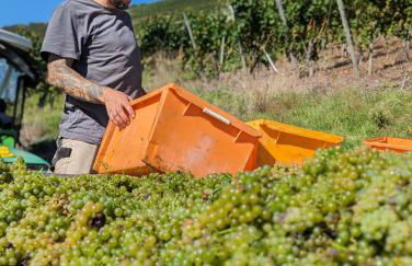 Haus Rosalinde - Photo 23