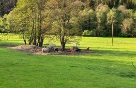 FeWo Obstfelderschmiede - Foto 27