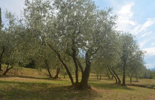 Podere delle Fanciulle - Foto 58