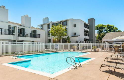 SandyToes-SunKist Nose-CHAT2 - Foto 32