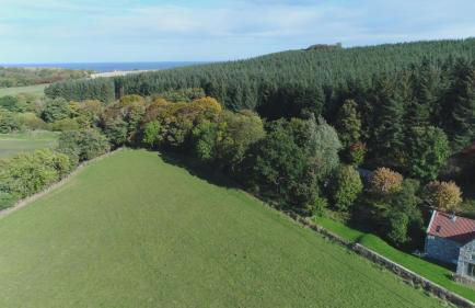 Stunning Rural Mill House nr beach and harbour - Foto 17