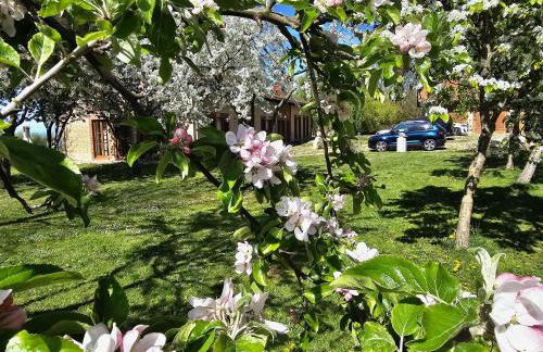 Hof am Meer "Seemöwe" - Foto 23