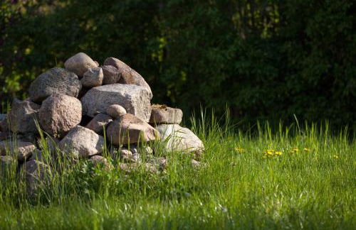 Ferienwohnung Bergschäferei - Foto 13