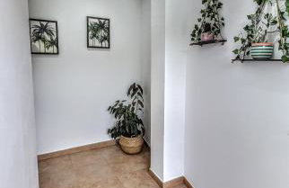 Casa Carmen e do Hilario - Foto 22