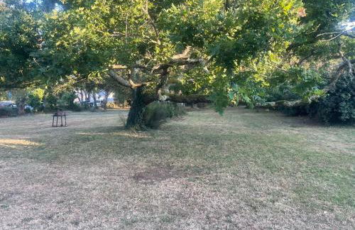 Maison familiale , Mine d'or à pied - Foto 32