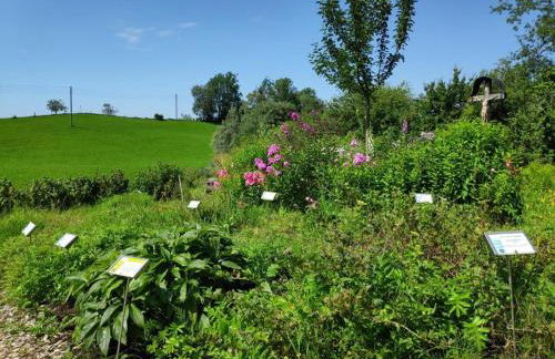 Ferienwohnung AllgäuGlück im Ferienpark Oberallgäu mit Hallenbad, Sauna, WLAN - Foto 35
