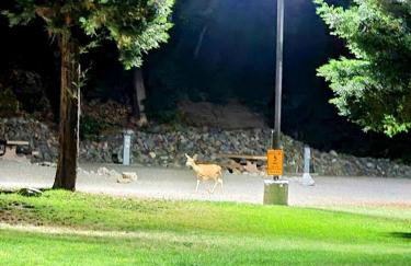 Luxury Cottage with Furnished Deck in Trinity, California - Foto 13