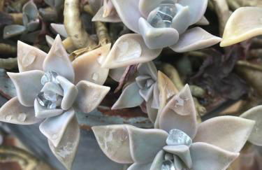 La Huberdière - Foto 11