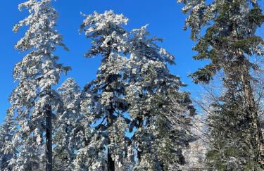 Le Relais du Piémont Ottrott - Mont Sainte-Odile- Champs du feu - Photo 29