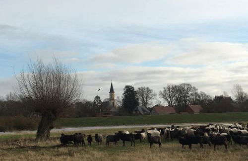 Elbauen-Chalet - Foto 28