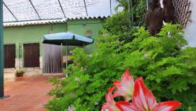 Cueva Rural El Sendero - Foto 3, Garden, Garden view