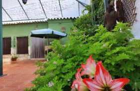 Cueva Rural El Sendero - Foto 3