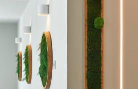 Villa Green Forest with wellness and heated salty pool - Photo 36