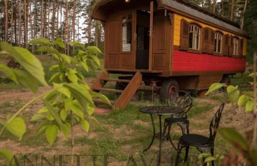 Zigappo Directeur - Photo 1