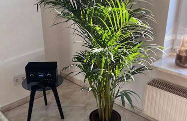 KLIMATISIERTE schöne 110 qm große moderne und helle Wohnung - Foto 21