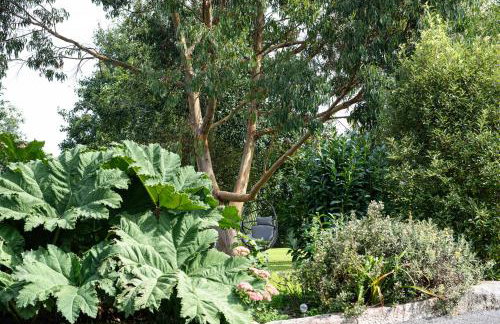 Little Willow - Foto 20