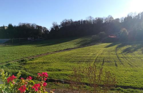 GIARDINO DI PRIMAVERA - Foto 36