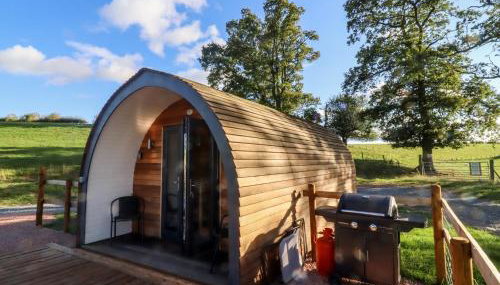 Goose Pod at Salford Court Farm Fishing Cabins - Foto 2