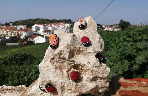 Varandas da Serra II - Foto 37