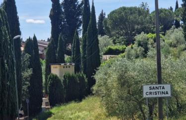 Santa Cristina - Photo 8