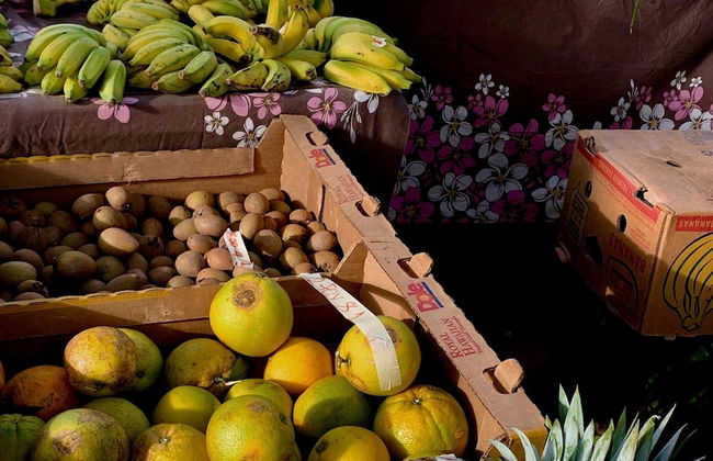 Whalers Cove Oceanfront Resort - Photo 39