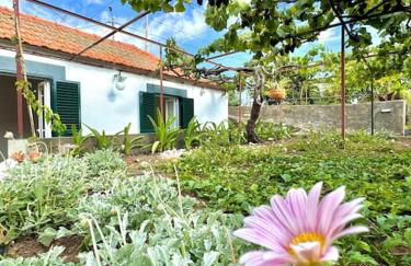 Casa Juliana - Foto 29