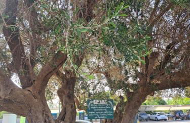 Traditional Stone House-Ideal for families - Foto 38