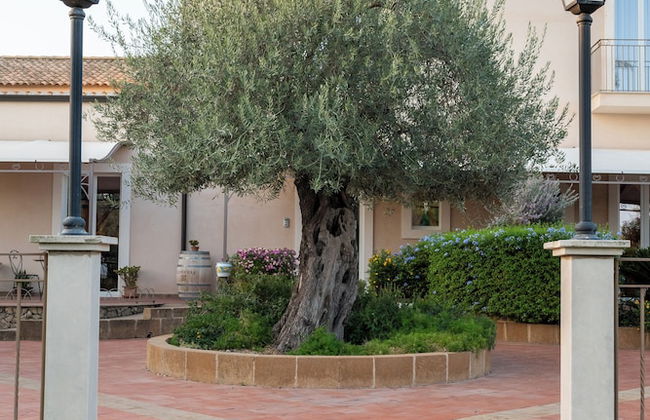 Agriturismo Badiula - Foto 50