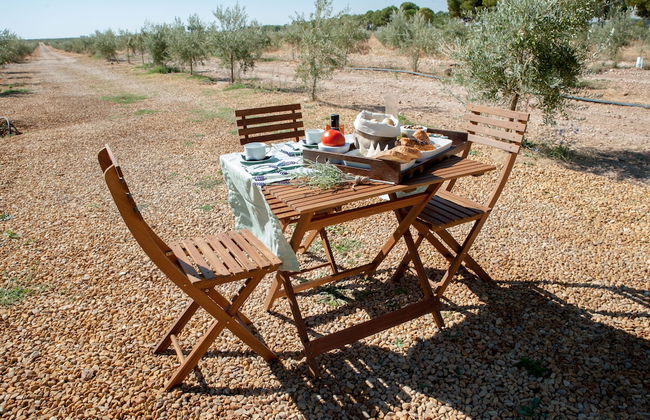 Finca Luz de Alba - Photo 33