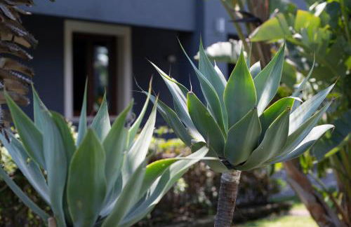 Villa Arianna Acireale - Foto 30