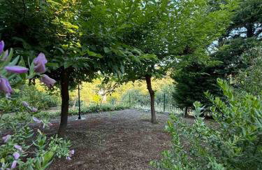 Aylida House - Foto 29