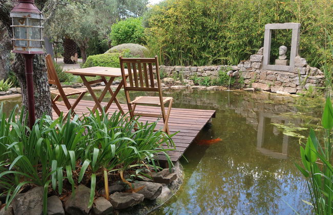 Quintal das Oliveiras - Foto 41