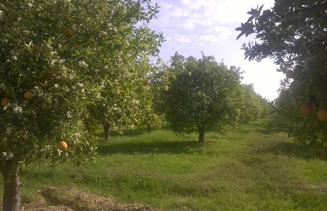 Saphir Paon - Luxury Villa in the Middle of a Farm - Foto 24