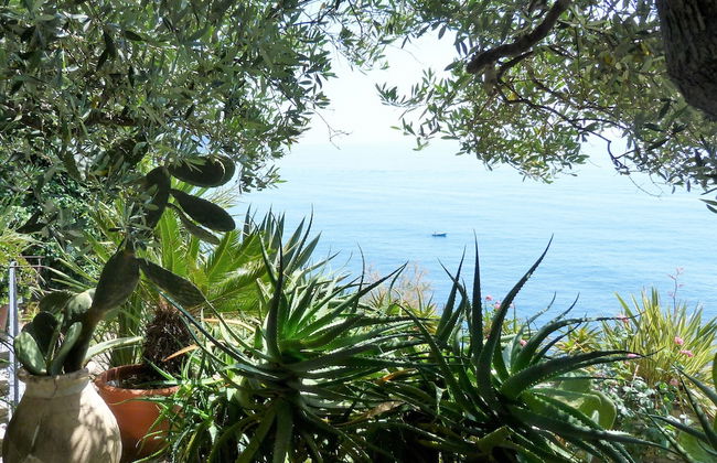 House Limone - Foto 9