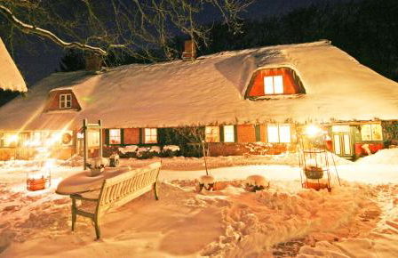 Wegekaten - Ferienwohnungen unter Reet - Foto 37