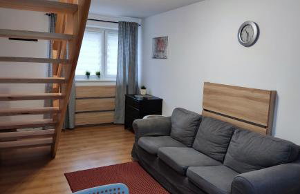 Apartamenty Młynne - Foto 24