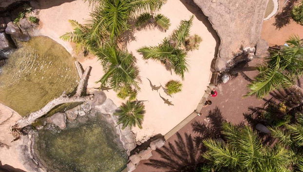Vista aérea del terrario de cocodrilos