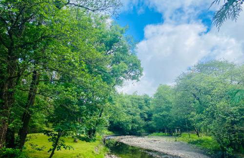 Daffodil House , West Wales - Foto 27