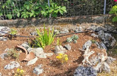 LEMON TREE GARDEN near Mirtos beach - Foto 28