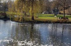 CityNest und Auszeit - Zwei Ferienwohnungen, ein Standort - Ideal für Paare und Familien mit Kleinkind - Foto 31