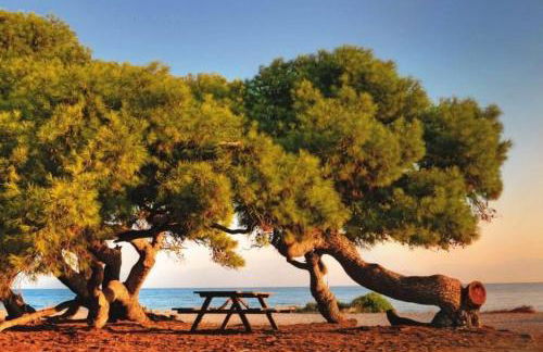 Melissi luxury villas - Foto 55