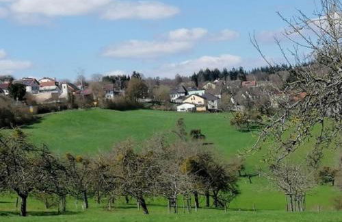 Ferienwohnung Am Steinchen - Foto 17