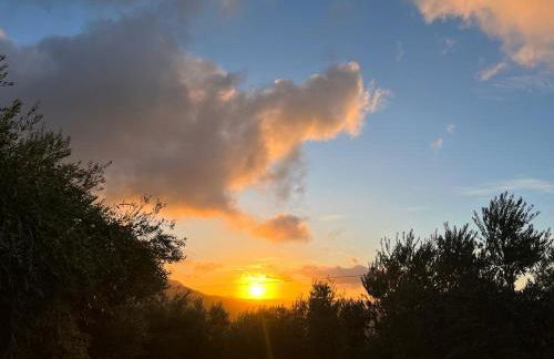 Casa Rubito el Olmo - Foto 32