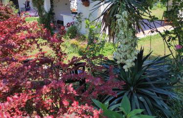 Il Ciliegio Holiday Apartment With Garden - Foto 33